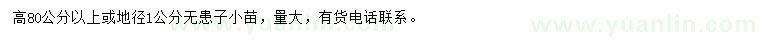 求購高80公分以上或地徑1公分無患子