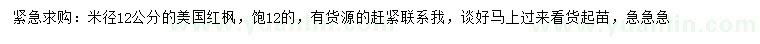 求購(gòu)米徑12公分美國(guó)紅楓