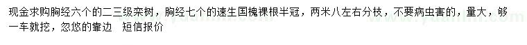 求購胸徑6公分欒樹、7公分速生國槐