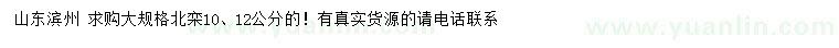 求購(gòu)10、12公分北欒