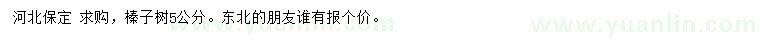 求購(gòu)5公分榛子樹(shù)