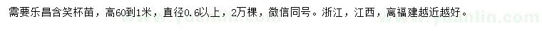 求購高60-100公分樂昌含笑