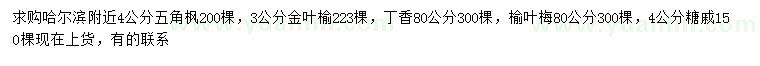 求購五角楓、金葉榆、丁香等