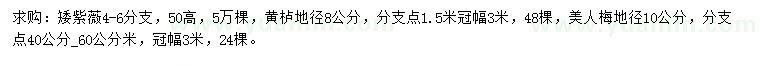 求購矮紫薇、黃櫨、美人梅等