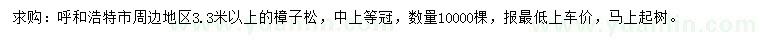 求購3.3米以上樟子松