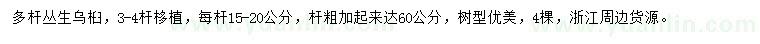 求購多桿叢生烏桕