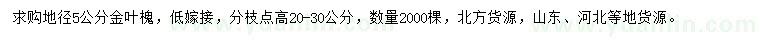 求購地徑5公分金葉槐