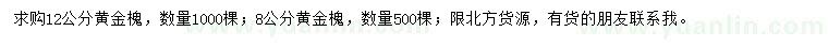 求購(gòu)8、12公分黃金槐
