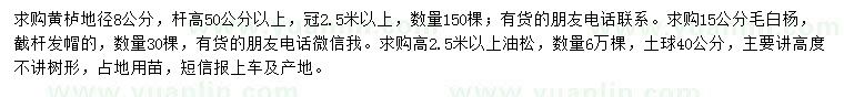 求購黃櫨、毛白楊、油松