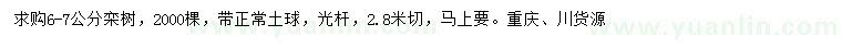 求購6-7公分欒樹