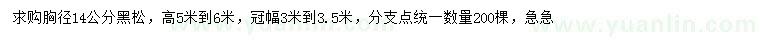 求購(gòu)胸徑14公分黑松