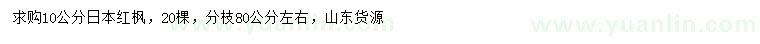 求購10公分日本紅楓