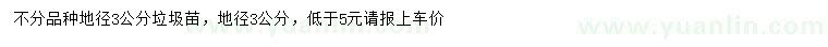 求購地徑3公分海棠