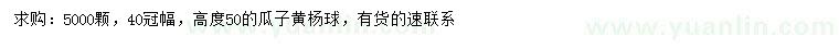 求購冠幅40公分瓜子黃楊球