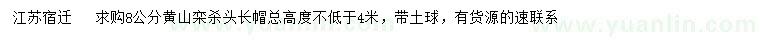 求購8公分黃山欒