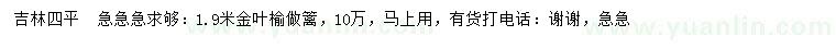求購1.9米金葉榆