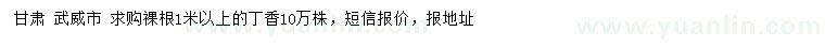 求購1米以上丁香