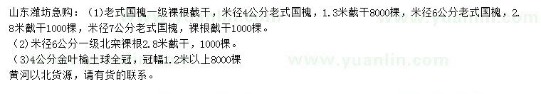 求購老式國槐、北欒、金葉榆