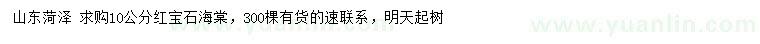 求購(gòu)10公分紅寶石海棠