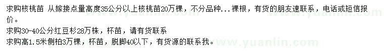 求購(gòu)核桃苗、紅豆杉、側(cè)柏