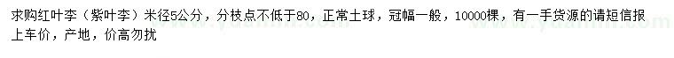 求購米徑5公分紅葉李（紫葉李）