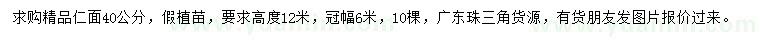 求購(gòu)40公分仁面子