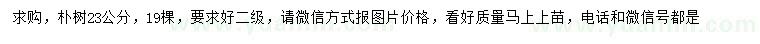 求購23公分樸樹