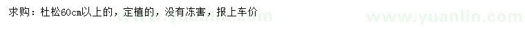 求購60公分以上杜松