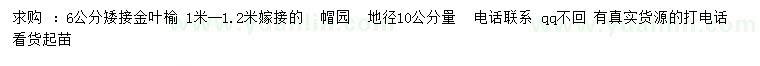 求購(gòu)地徑10公分量6公分矮接金葉榆