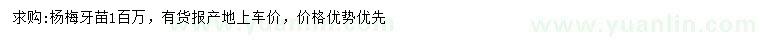 求購楊梅牙苗