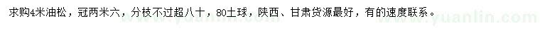 求購4米油松