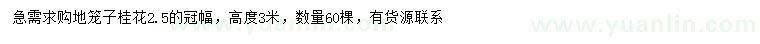 求購冠幅2.5米桂花