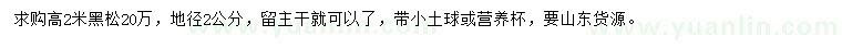 求購高2米黑松