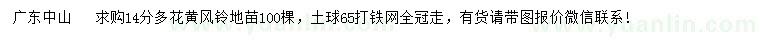 求購14公分多花黃風(fēng)鈴地苗