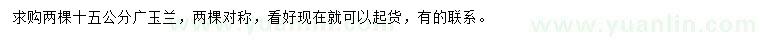求購15公分廣玉蘭