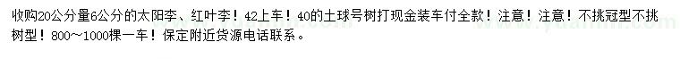 求購20公分量6公分太陽、李紅葉李