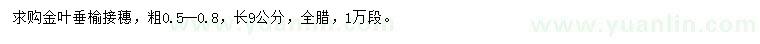 求購粗0.5-0.9公分金葉垂榆接穗