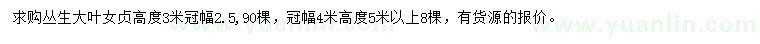 求購(gòu)高3、5米叢生大葉女貞