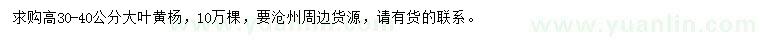 求購高30-40公分大葉黃楊