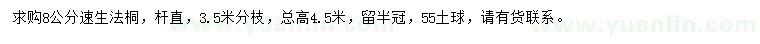 求購8公分速生法桐