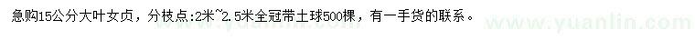求購15公分大葉女貞