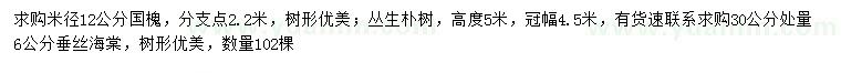 求購(gòu)國(guó)槐、叢生樸樹(shù)、垂絲海棠