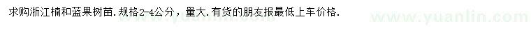 求購2-4公分浙江楠、藍(lán)果樹