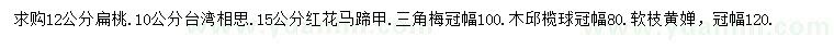 求購(gòu)扁桃、臺(tái)灣相思、紅花羊蹄甲等