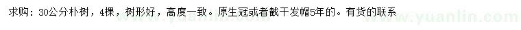 求購30公分樸樹