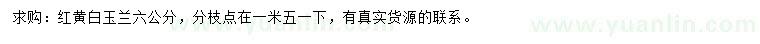 求購(gòu)6公分紅、黃、白玉蘭