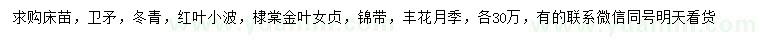 求購(gòu)衛(wèi)矛、冬青、紅葉小檗等