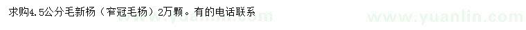 求購4.5公分毛新楊（窄冠毛楊）