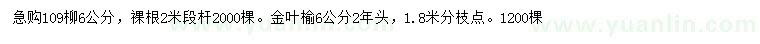 求購6公分109柳、6公分金葉榆