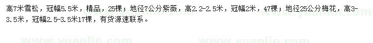 求購雪松、紫薇、梅花
